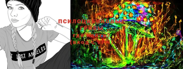 гашик Баксан