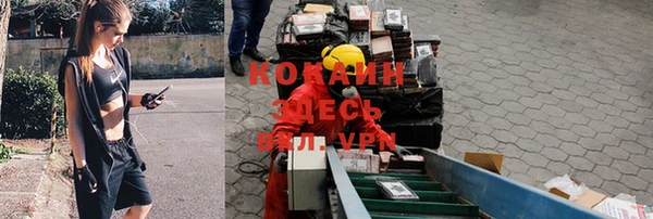 стафф Балахна