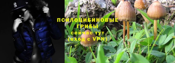 гашик Баксан